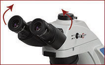 Siedentopf trinocular viewing head, inclined at 30°, with an industry leading 50mm-75mm interpupillary distance adjustment and a 180° eyepoint adjustment to accommodate users of different body types.