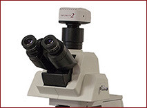 A tilting trinocular tube accommodates operators of various builds and postures. The optical path beam splitter offers three different viewing methods (0:100, 100:0, and 80:20).