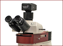 The EXC-500's modular design allows for simple integrations with fluorescence, phase contrast, polarization and darkfield to provide users with a system that can scale as their needs evolve.