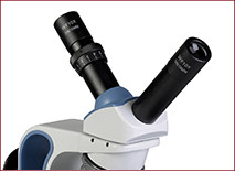 Options are available for dual inclined or inclined/vertical teaching heads. These make excellent options for use with HD, digital or eyepiece cameras.
