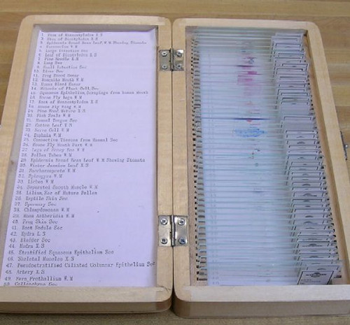 50 Piece Prepared Slide Set