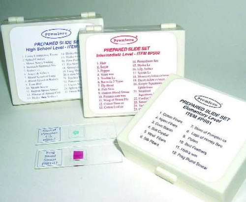 Intermediate School Slide Set