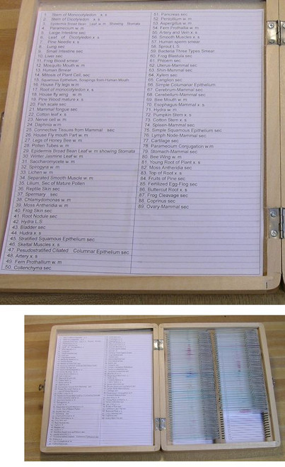 89 Piece Prepared Slide Set