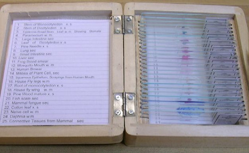 25 Piece Prepared Slide Set