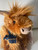 Calums Cabin Brown Highland Cow