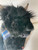 *Limited Edition* Calums Cabin Black Highland Cow (with sound)