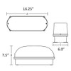 Dimensions for the Class 1 Division 2 Emergency Light with MR16 Lamps