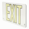 50' Photoluminescent Exit Sign with White Background