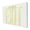 75' Glow-In-The-Dark Exit Sign with White Background