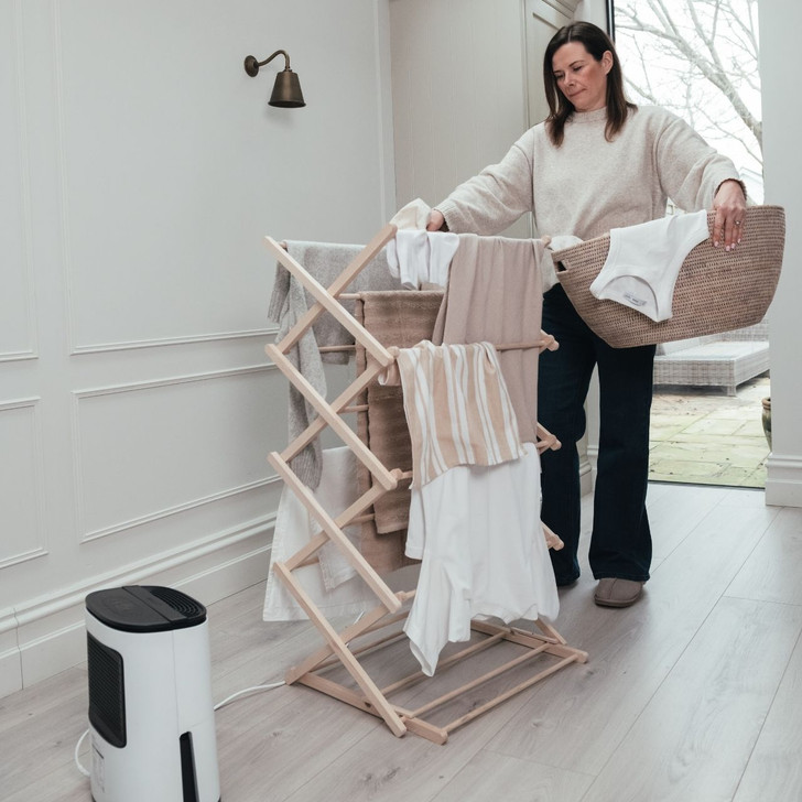 MeacoDry Arete One 6L Compact Dehumidifier / Air Purifier for easy laundry drying