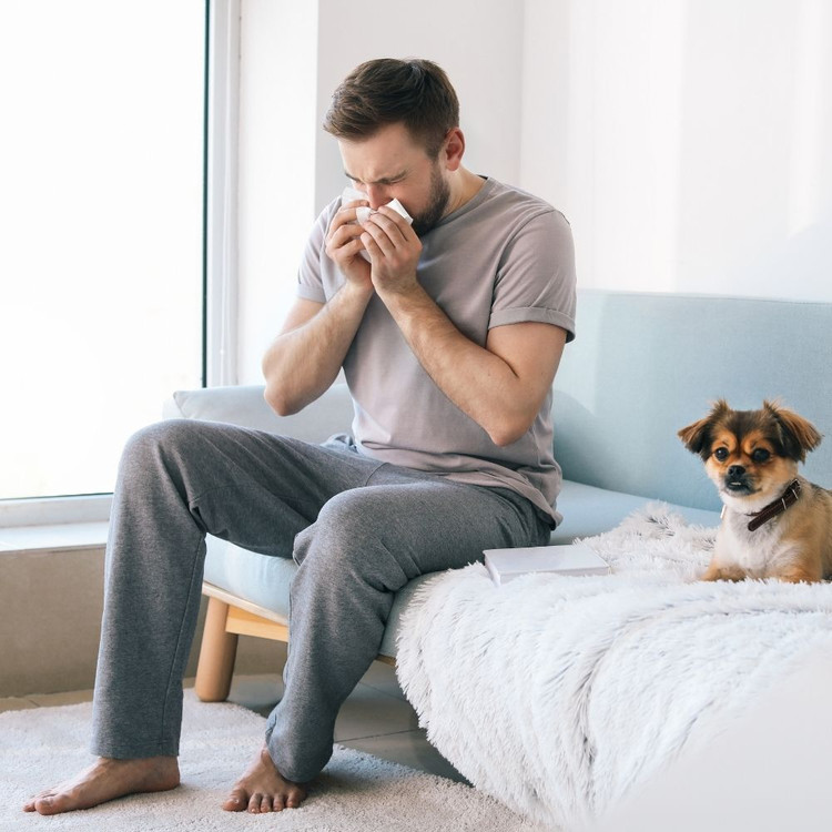 Can an air purifier help with allergies? MEACO.IE