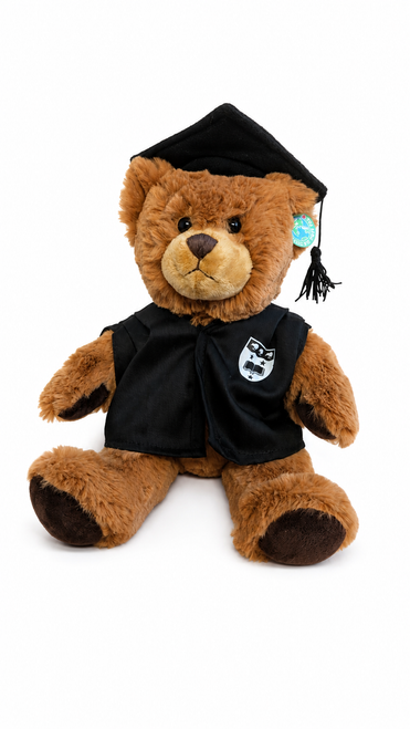 Graduation Bear