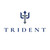 Trident Natural Woodgrain   Trident Natural Woodgrain