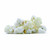 White garlic parmesan popcorn.