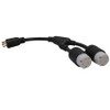 Tripp Lite 1ft L6-20P - 2 X L6-20R 0.3m Black power cable