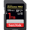 SanDisk SDSDXXY-1T00-ANCIN