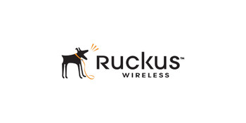 Ruckus Wireless 902-0182-0003