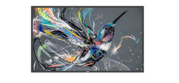50BDL3511Q/00 | Philips 50BDL3511Q/00 Signage Display Digital A-board 50" 500 cd/m² 4K Ultra HD Black 18/7