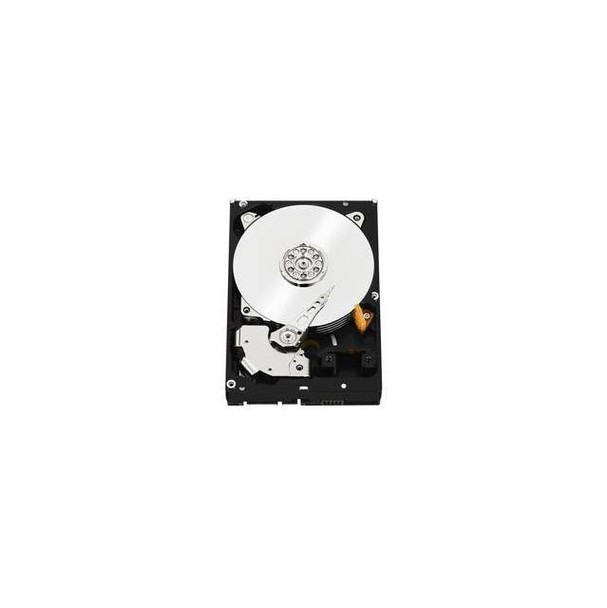 Western Digital RE WD2503ABYZ 250GB 7200RPM SATA3/SATA 6.0 GB/s 64MB Enterprise Hard Drive (3.5 inch)