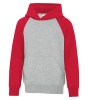 ATC ATCY2550 Youth Everyday Fleece Two Tone Hooded Sweatshirt | saveonshirts.ca