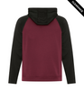 Clearance - ATC Game Day™ Fleece Two Tone Hooded Sweatshirt | Saveonshirts.ca