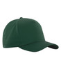 ATC C1340 Everyday 5-Panel Cotton Cap | Hunter