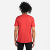 Next Level 6010 Tri-Blend Crew Tee | Vintage Red