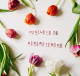 Happy First Day of Spring!