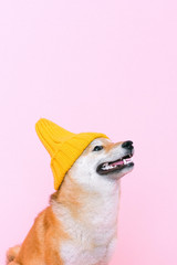 Toques For Fall