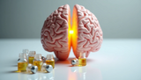 Pregnenolone & Memory: The Natural Brain Hormone You Need to Know About