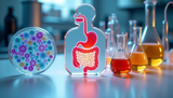 The Hidden Link Between Gut Health and Hormones: What Science Reveals in 2025