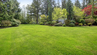 Product Spotlight on TifBlair Centipedegrass