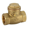 Brass Swing Check Valve