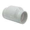 PVC Swing Check Valve