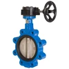 Viton Liner Butterfly Valve Lugged - Lever