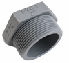 Sch80 PVC Plug BSP