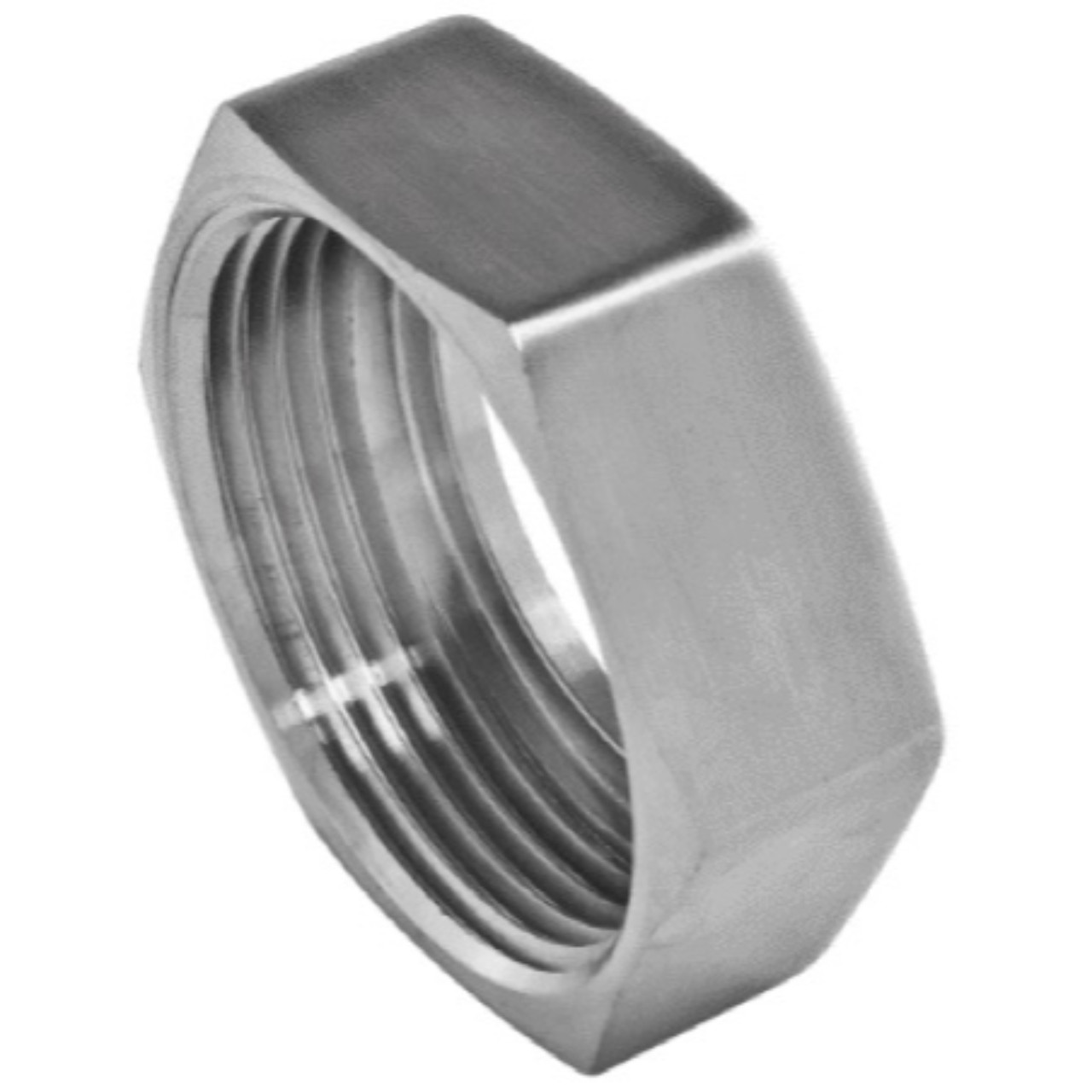 304 Stainless Steel RJT Hex Nut