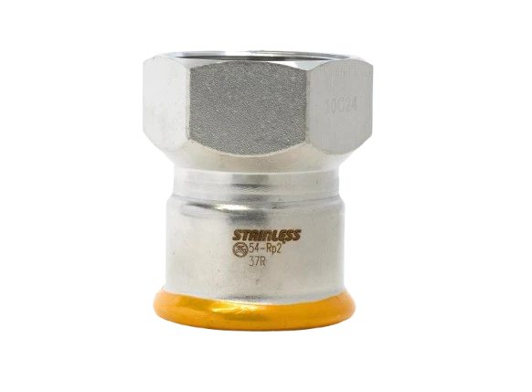 EUROPRESS 304L Stainless Steel BSP Female Adaptor