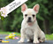 Courtney (F)