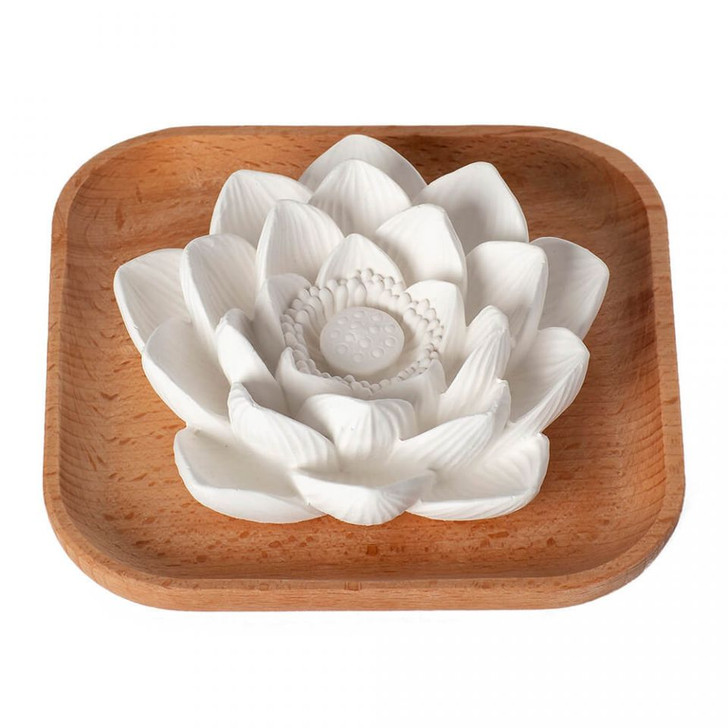 Passive Lotus Diffuser at Virginia & Rook