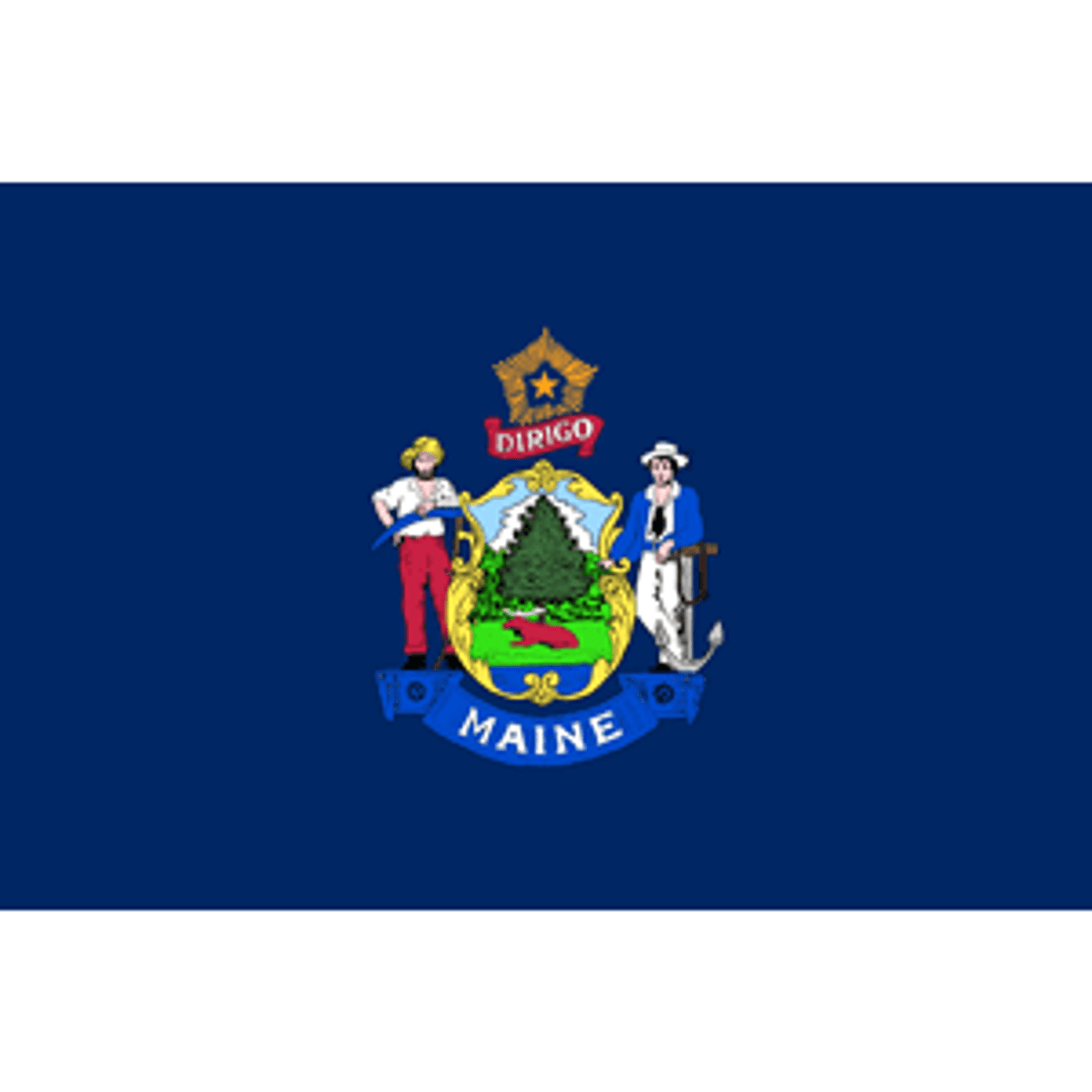Maine Flag Buy Maine State Flags At Flag And Bunting Store