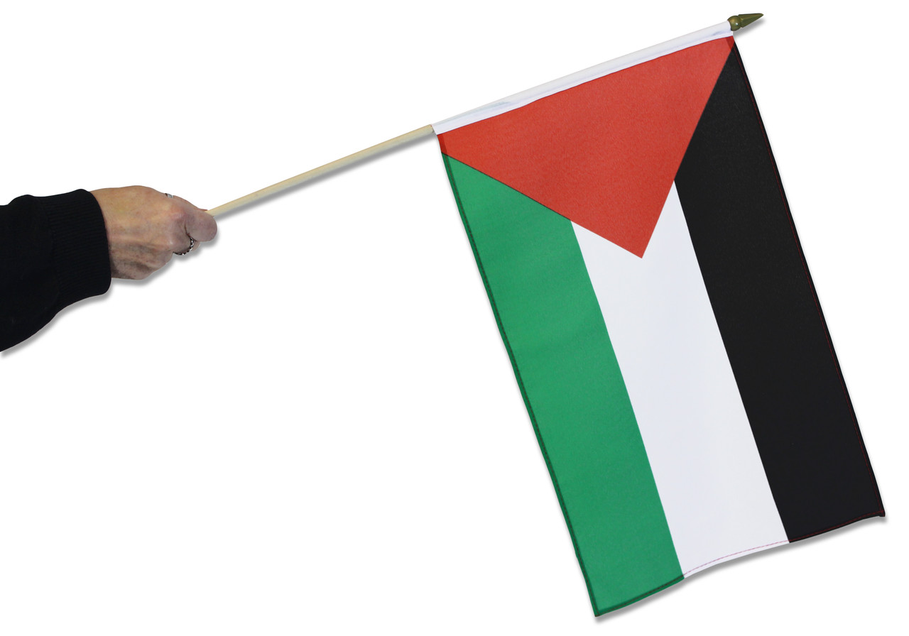 Palestine Flag on a Stick