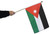 Jordan Waving Flag