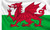 Wales Sleeved flag to buy online