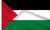 Palestine sleeved flag to buy online
