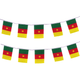 Cameroon Bunting