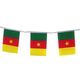 Cameroon Bunting