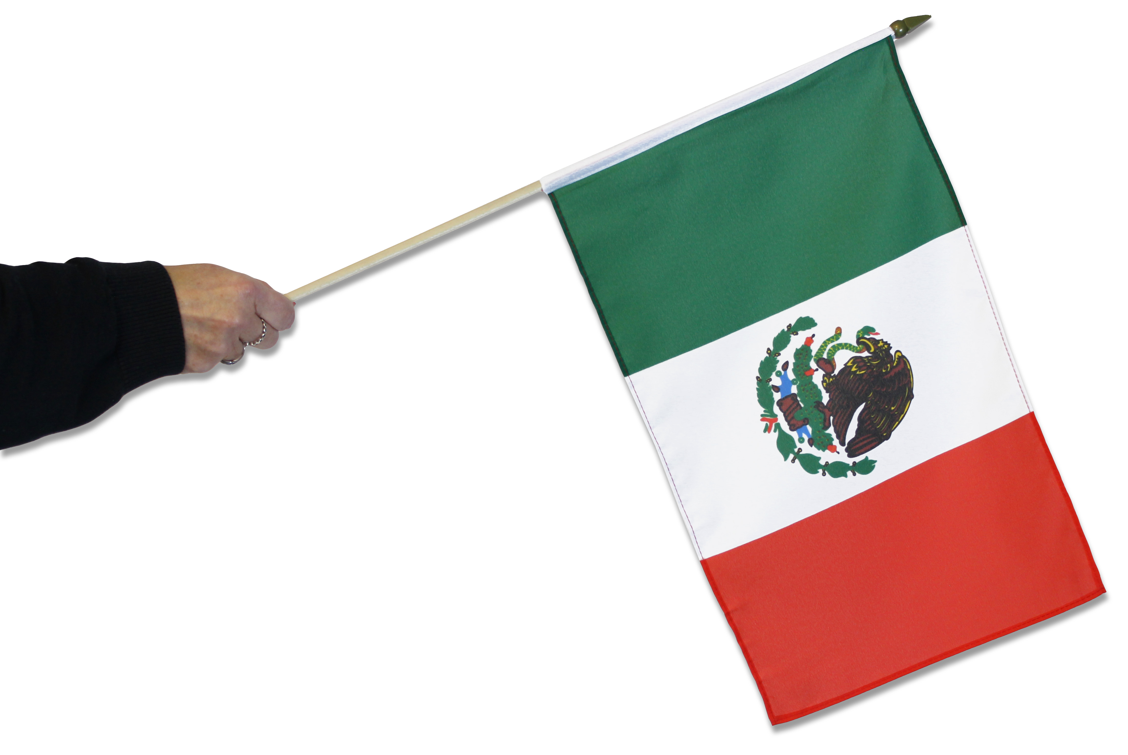 Mexican flag Royalty Free Vector Image - VectorStock