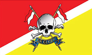 Buy Military Flags and Ensigns from The Flag and Bunting Store