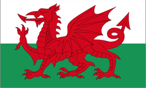 Buy Wales Flags from The Flag and Bunting Store
